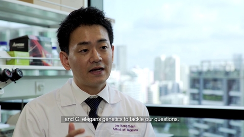 Thumbnail for The Role of Lipids in Neurodegenerative Diseases &amp; Ageing by Asst Prof Yasunori Saheki